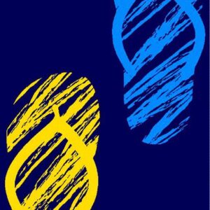 Beach Towel 90 Χ 170 420gr/m2 DimCol art.1006/23 - Image 3